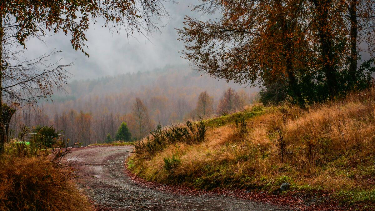 Camino entre la niebla — Tonovital Centro Quiropráctico Málaga Camino de tierra que se pierde entre la niebla en un bosque en otoño