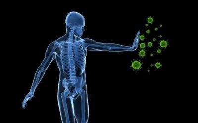 Recuperar la Salud: Capacidad Innata del Cuerpo Humano