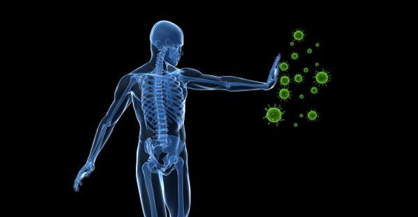 Recuperar la Salud: Capacidad Innata del Cuerpo Humano